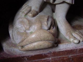 5 fish foot a.JPG